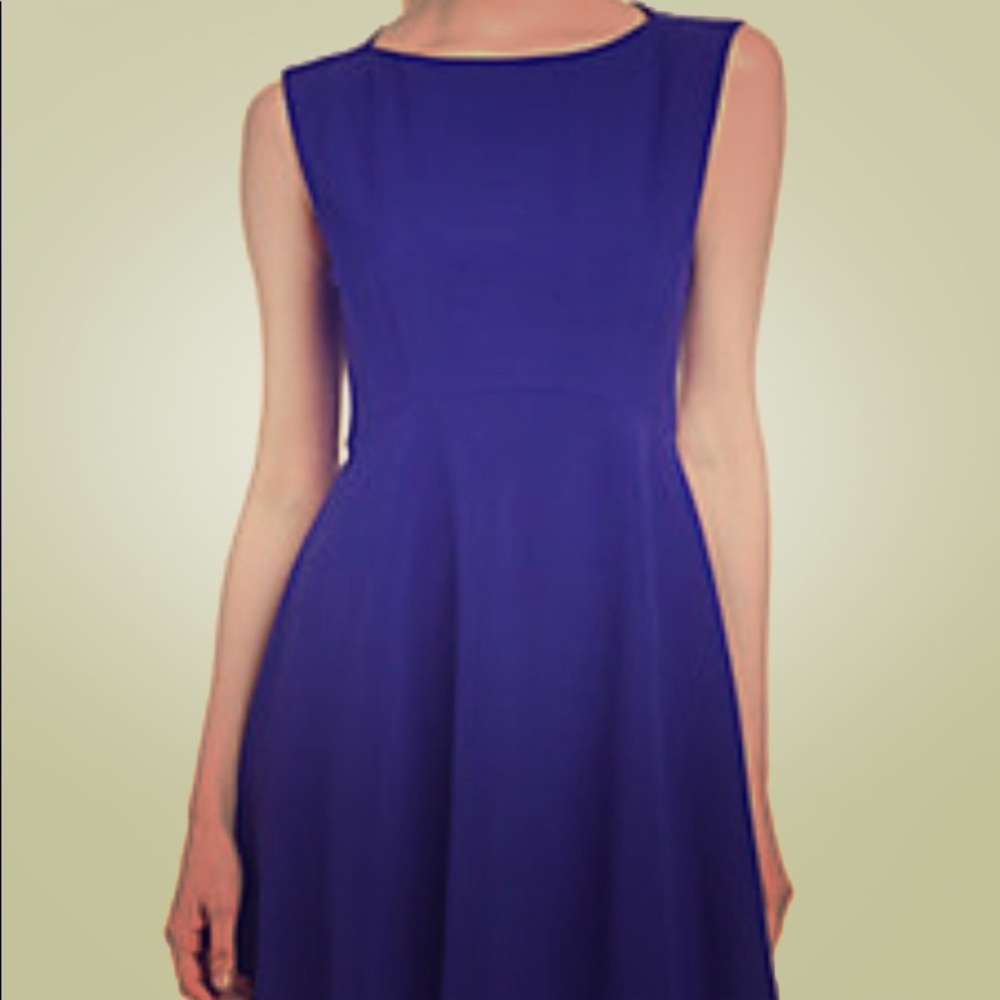 French Connection A-Line dress